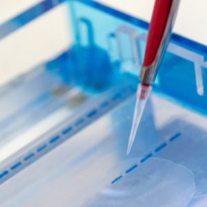 biochemical testing PCR